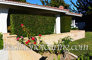 Villa Regina 3